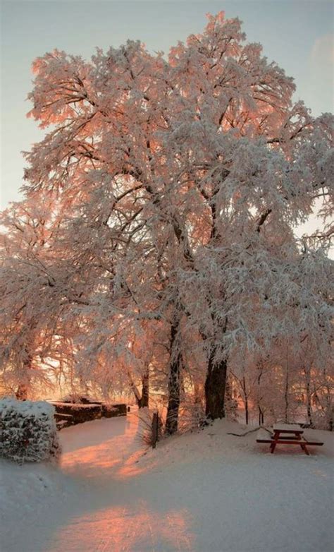 Красивые зимние картинки (30 штук)