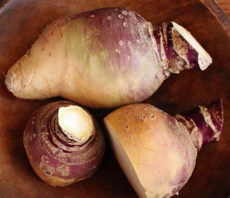 Harmony Valley Farm: Rutabagas & Turnips….Give Them A Chance!