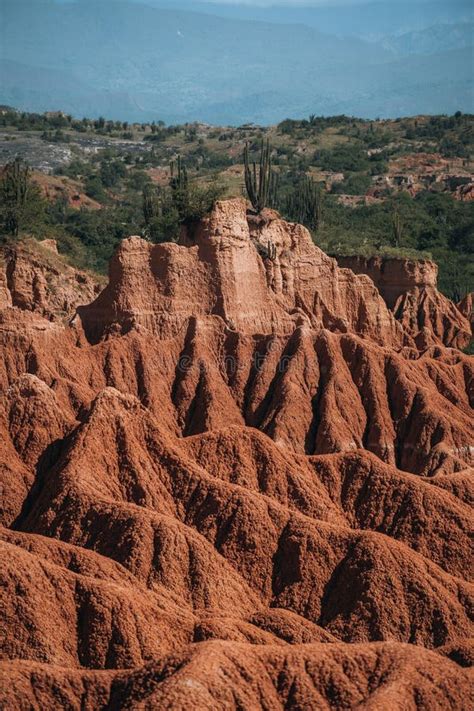 Extreme Climate and Cactuses in Tatacoa Red Desert Colombia Villavieja ...