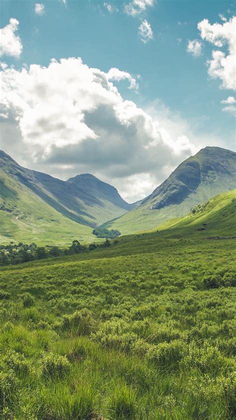 Mountain Meadow Wallpaper - iPhone, Android & Desktop Backgrounds