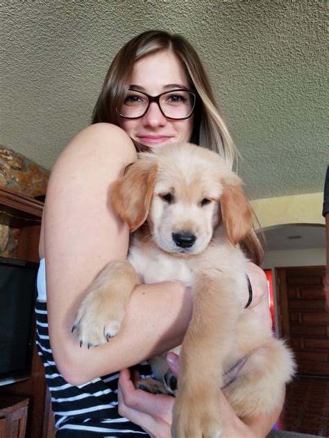 New Families — Heavenly Sunsets Golden Retrievers