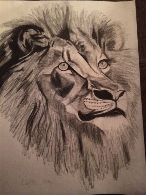 My Art - Pencil Drawing of a Lion's Face