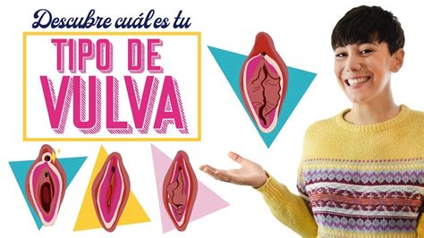 LOS TIPOS DE VULVA QUE DEBES CONOCER, ¡DESCUBRE LA TUYA! | @RedLights ...