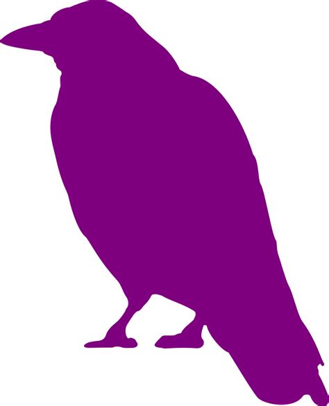 Download Crow, Nature, Bird. Royalty-Free Vector Graphic - Pixabay