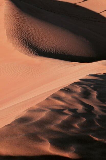 Desert Aesthetics Images - Free Download on Freepik