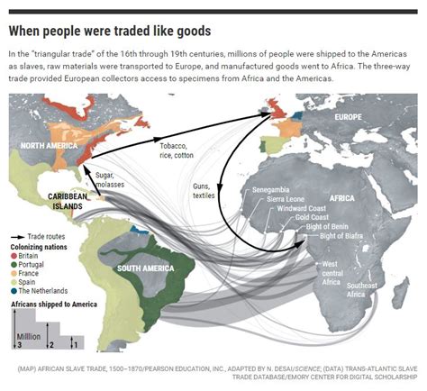 historians expose early scientists debt   slave trade portside