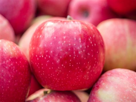 New season for Pink Lady®: a harvest with great potential