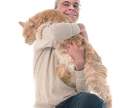 Melerai Kucing Bertengkar: 6 Cara Jitu yang Catlovers Bisa Praktekkan