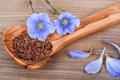 Рецепты масок для лица из семени льна с омолаживающим действием ...