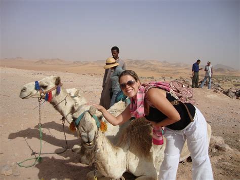 Diário de Viagem: Camelos