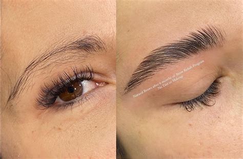 How to Grow Eyebrows Fast: Tips, Tricks & Treatments – My Blog