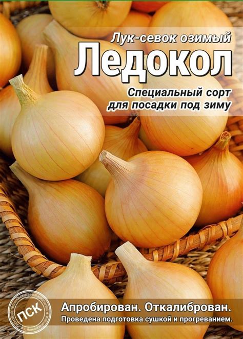 Семена | Компания «Ваше хозяйство»