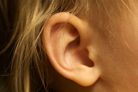 ear – The Echo