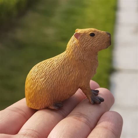 what does capybara do in grow a garden 3