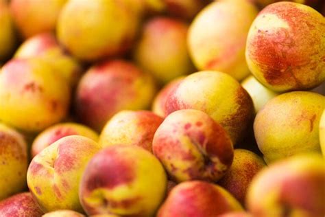 56 Nectarine Varieties: An Overview (With Pictures) | House Grail