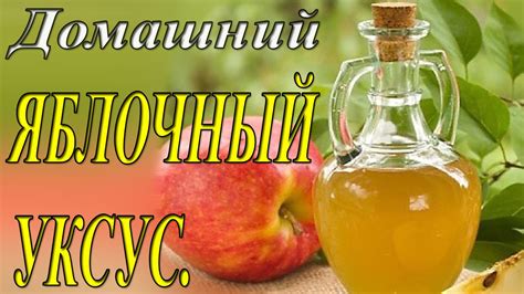 Домашний #яблочный_уксус. Яблочный уксус своими руками, простой рецепт ...