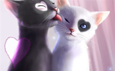 Romantic Cats in Love - HD Wallpaper
