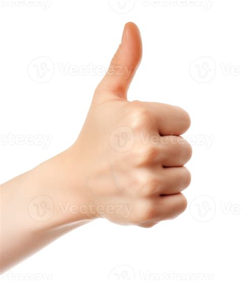 realistic thumb  hand gesture  transparent background