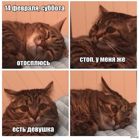 14 февраля... | Пикабу