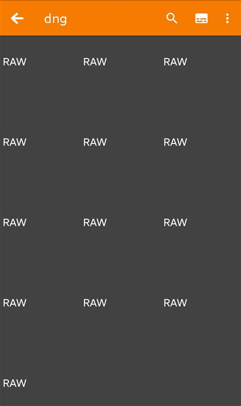 DNG images : r/SimpleMobileTools
