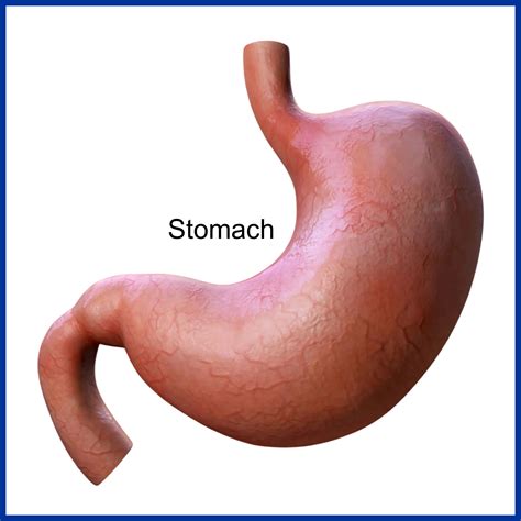 Stomach Disease - Kaizen Hospital | Peptic Ulcer Treatment | Stomach Cancer