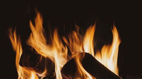 bonfire, firewood, flame, black, 4k HD Wallpaper