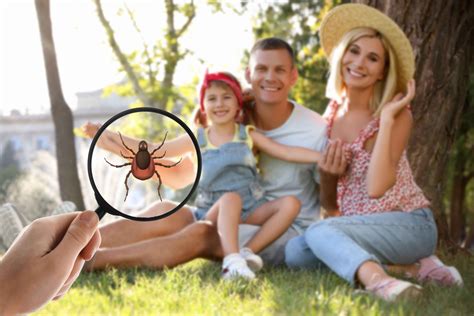 Signs You're Dealing With a Tick Infestation in Your Yard | Arrow Pest