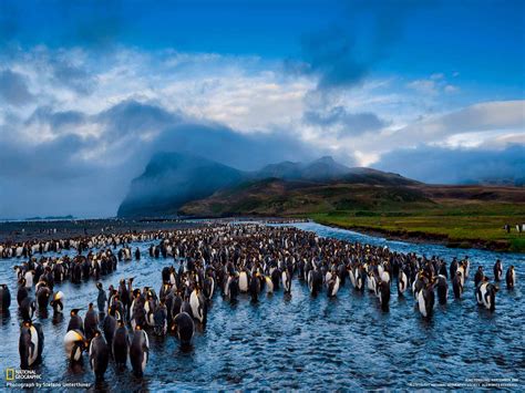National Geographic HD Wallpapers - Top Free National Geographic HD ...