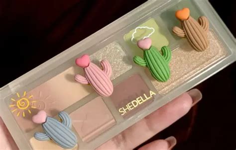 Shedella Makeup Review-The Ultimate Guide (2024)
