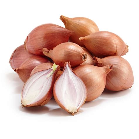 biviano direct shallotseschallots bulb golden french shallot