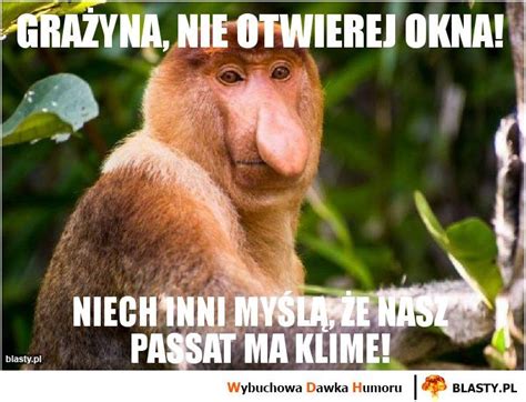 Znalezione obrazy dla zapytania memy janusz nosacz | Meme
