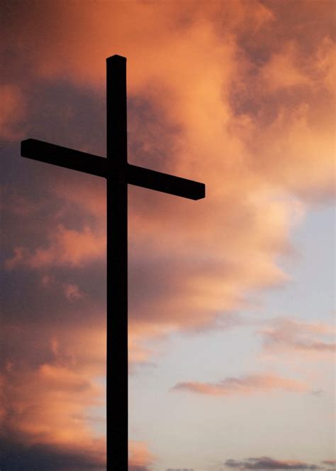 Oración del viernes: «El que quiera venir detrás de mí, que renuncie a ...