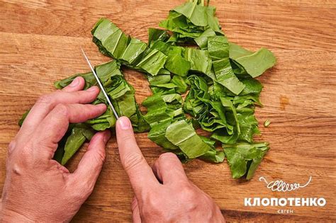 Как приготовить консервированный щавель на зиму. Рецепт Евгения Клопотенко