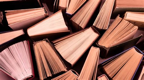 true story   worlds  obsessive book collector