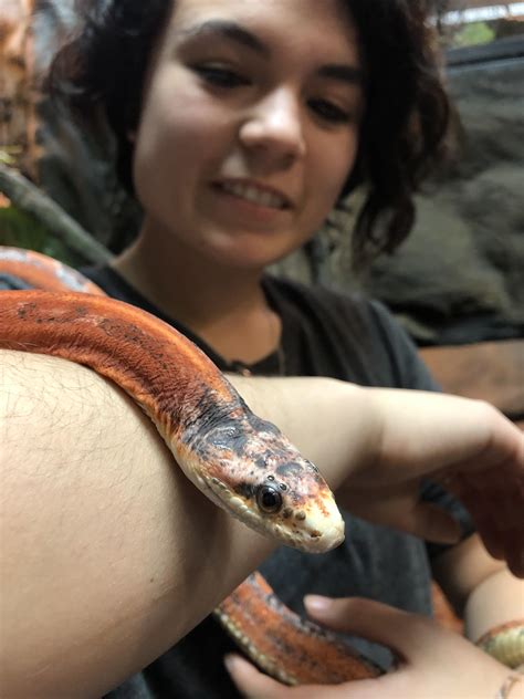 Met a beautiful scaleless noodle today! At the Reptarium - Utica, MI