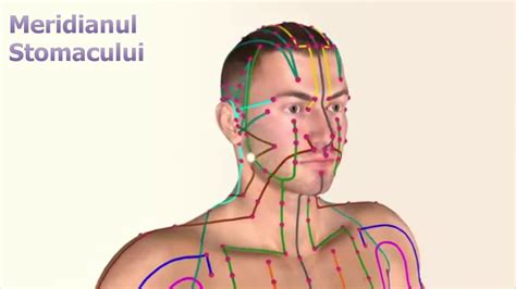 Principalele Meridiane Energetice - YouTube