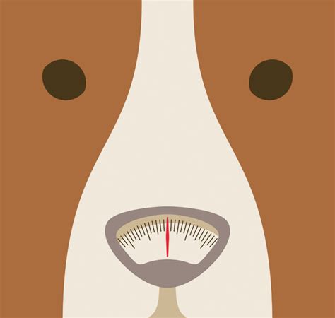 5 Sneaky Ways To Stuff Your Sweetheart: A Guide To Helping Your Dog Gain Weight