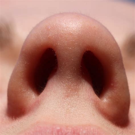 nostril cut inside 3