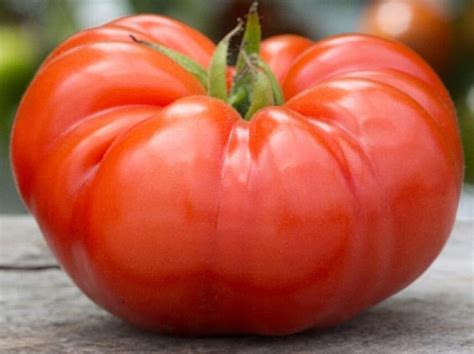 Beefsteak Tomato Seeds - Etsy