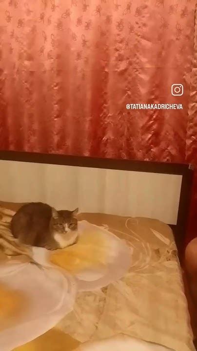Любимый сын Матвей - YouTube