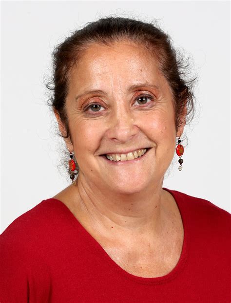 St cloud times obituaries Minnesota records show a rise in notices 40