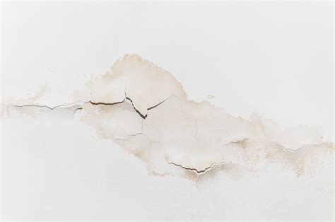 Minor Water Leaks Can Cause Mold Growth | Water Damage America