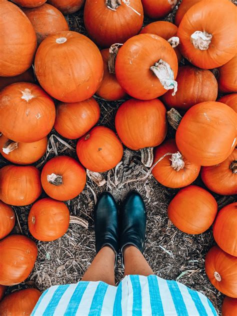 40 fall photoshoot ideas the instagrammers guide – Artofit