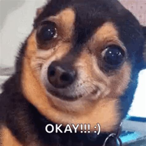 Ok Meme Okayyy Thumbs Up Emoji GIF | GIFDB.com