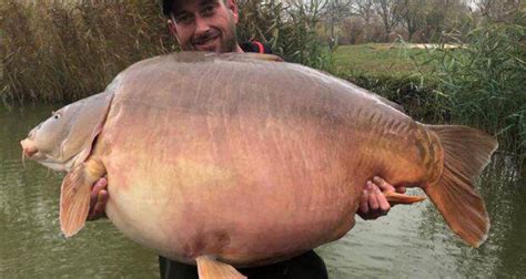 Un nou record mondial la crap - 51,2kg - Infopescar.Tv
