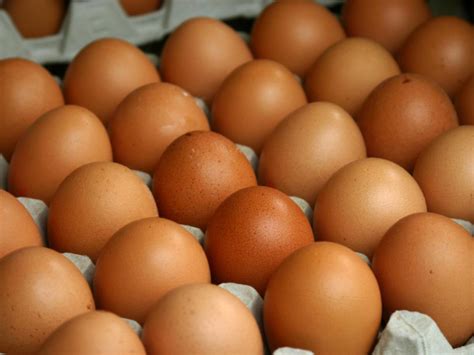 Сколько яиц на самом деле можно есть каждый день? Ответ, который нужно ...