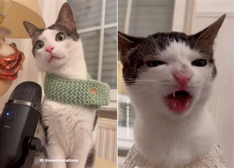 Why You're Secretly Obsessed With Hilarious Dirty GIFs Image 10
