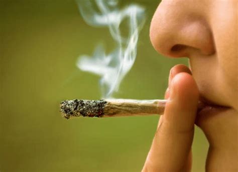 The High Cost Of Tolerance: 5 Signs You Might Be Allergic To Weed