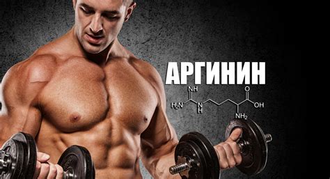 Аргинин: вред и польза для организма