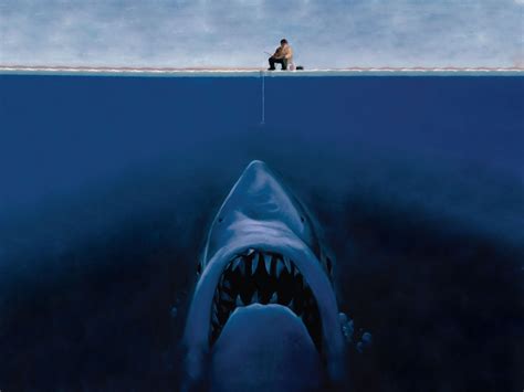 Fonds d'ecran Requins Humour télécharger photo